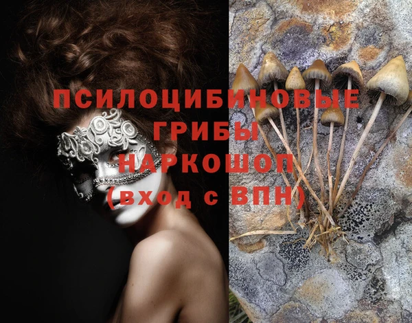 хмурый Зерноград