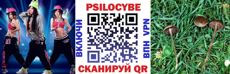 Галлюциногенные грибы Magic Shrooms  Купить  Мглин 