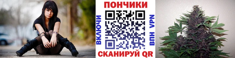 Каннабис THC 21%  Купить закладки  Мглин 